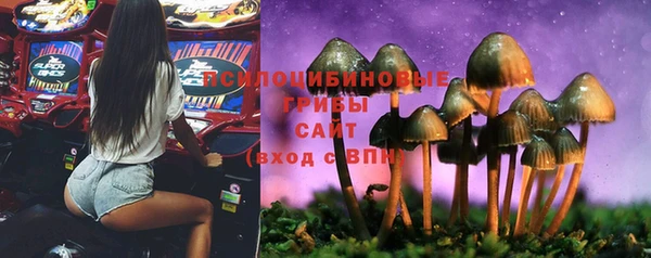 МДМА Белокуриха